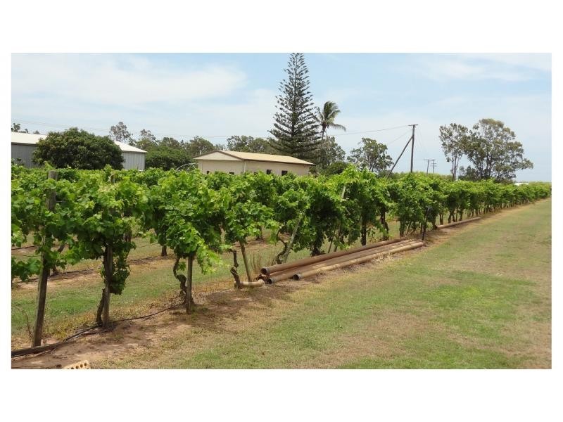 Welcome Creek QLD 4670