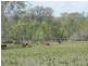 Bucca QLD 4670