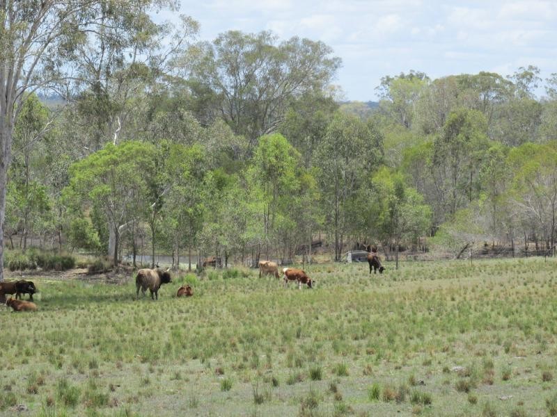 Bucca QLD 4670