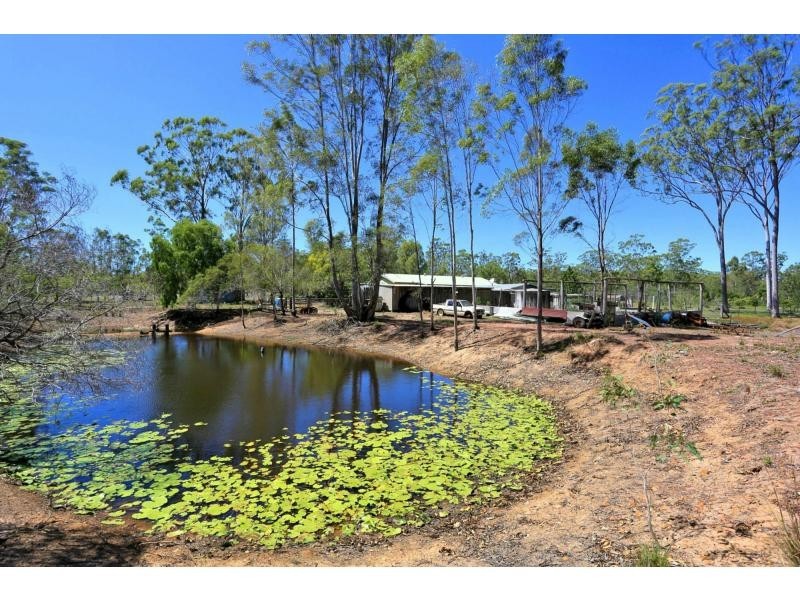 659 Birthamba Road, South Kolan QLD 4670