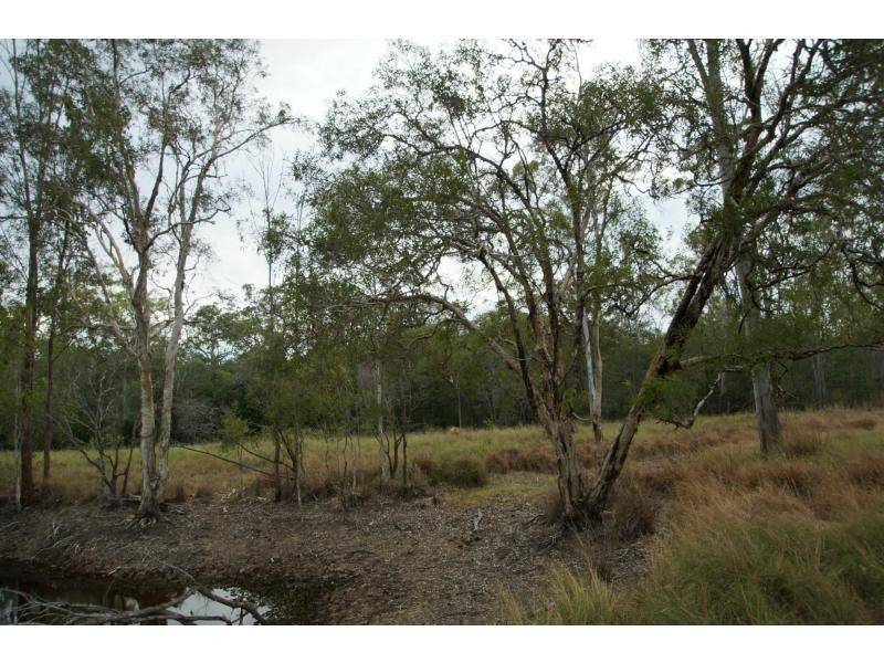 659 Birthamba Road, South Kolan QLD 4670