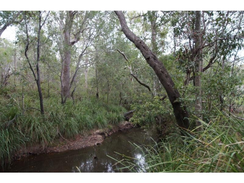 659 Birthamba Road, South Kolan QLD 4670