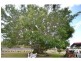 4 Aquamarine Road, Branyan QLD 4670