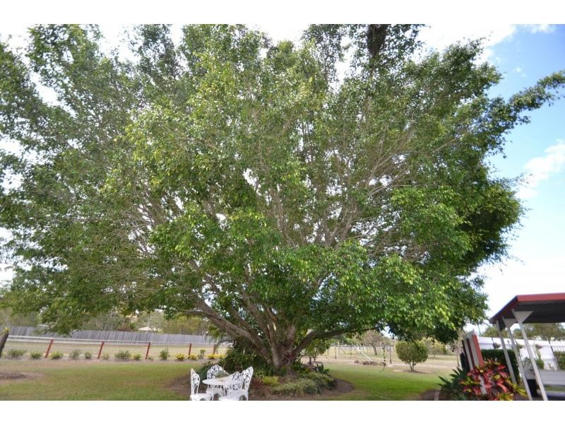 4 Aquamarine Road, Branyan QLD 4670