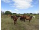 Bucca QLD 4670