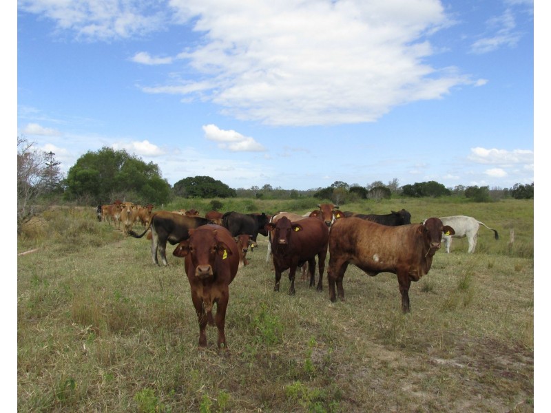 Bucca QLD 4670