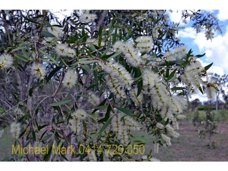 17 Yalla Lane, Childers Shining, Redridge QLD 4660
