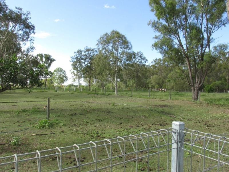 Kensington QLD 4670