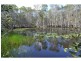 Pine Creek QLD 4670