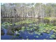 Pine Creek QLD 4670