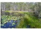 Pine Creek QLD 4670
