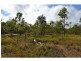 Pine Creek QLD 4670