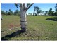 112 Kirbys Road, Rubyanna QLD 4670
