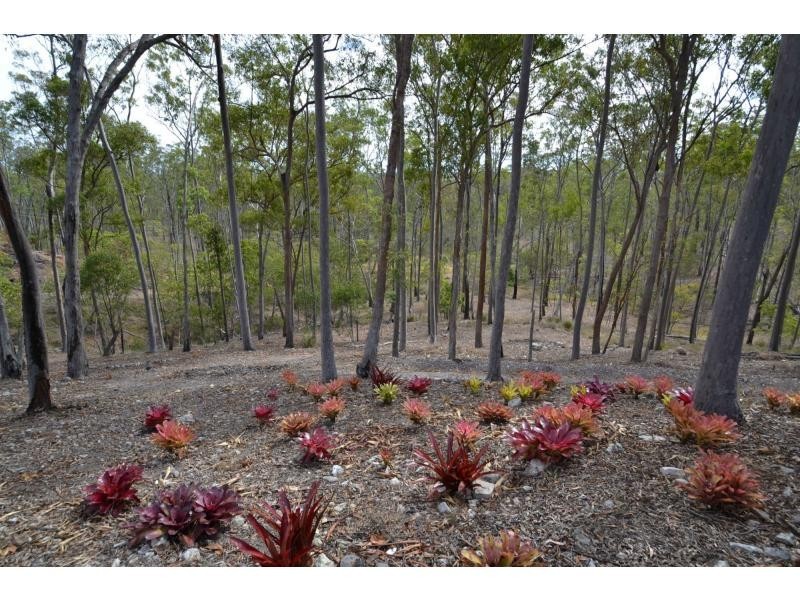 South Bingera QLD 4670
