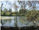 Bucca QLD 4670