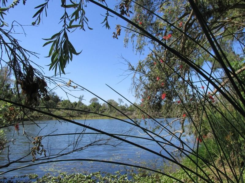 Bucca QLD 4670