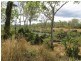 Bucca QLD 4670