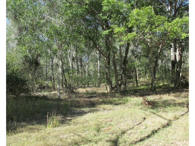 Mullett Creek QLD 4670