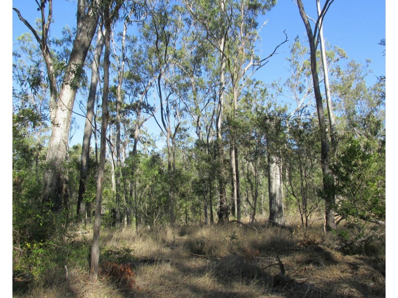 Mullett Creek QLD 4670
