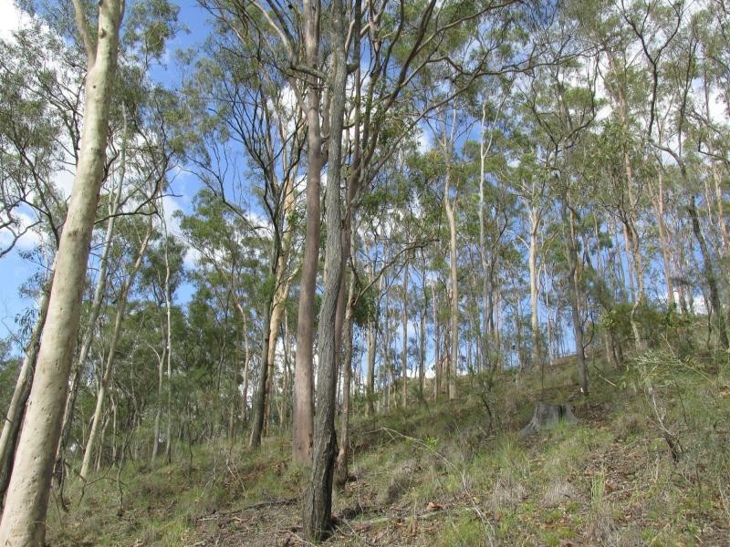Delan QLD 4671