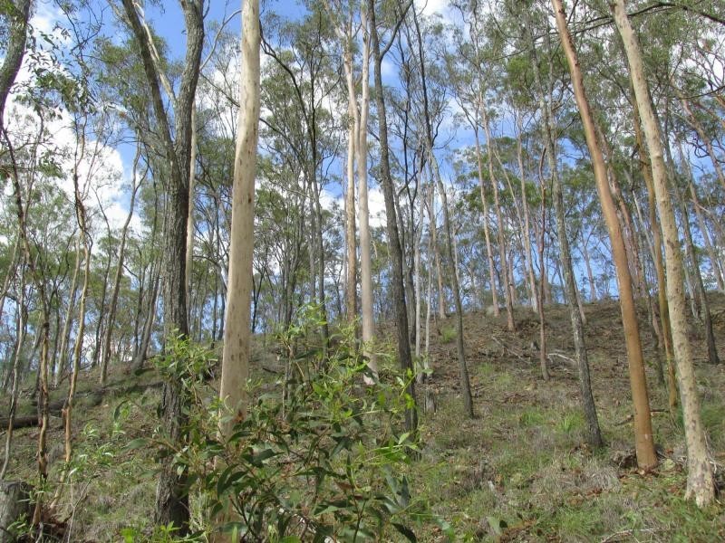 Delan QLD 4671
