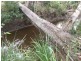 Yandaran QLD 4673