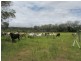Bucca QLD 4670