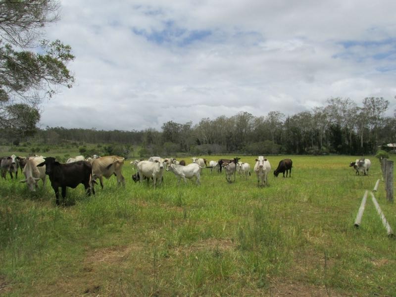 Bucca QLD 4670