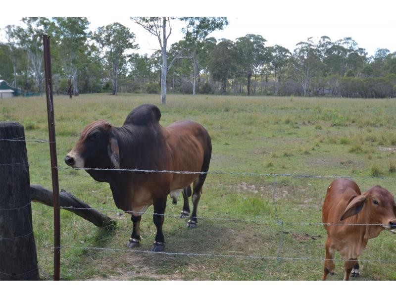 78 Bishop Drive, Bucca QLD 4670