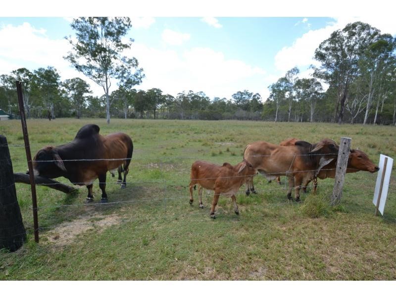 78 Bishop Drive, Bucca QLD 4670