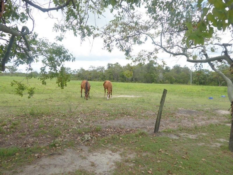 Elliott QLD 4670