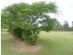 Elliott QLD 4670