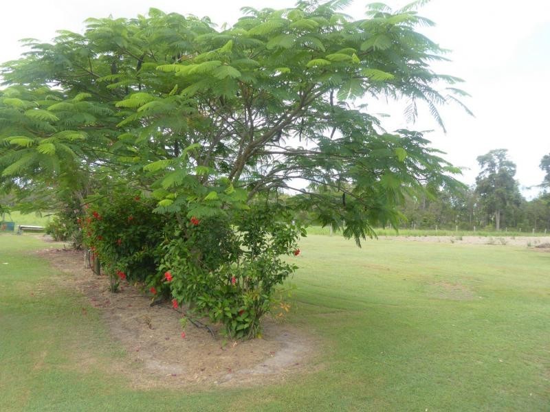Elliott QLD 4670