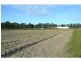 Elliott QLD 4670