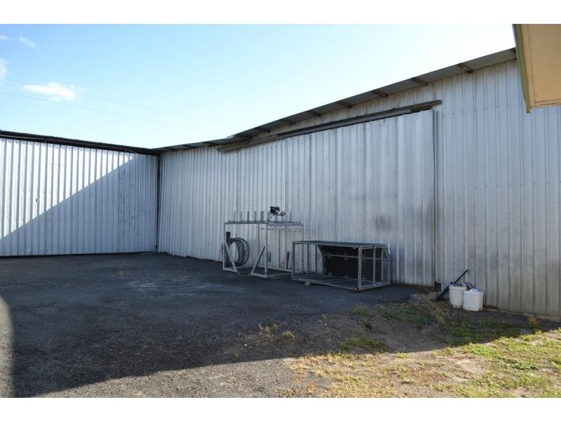 Elliott QLD 4670