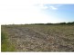 Elliott QLD 4670