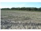 Elliott QLD 4670