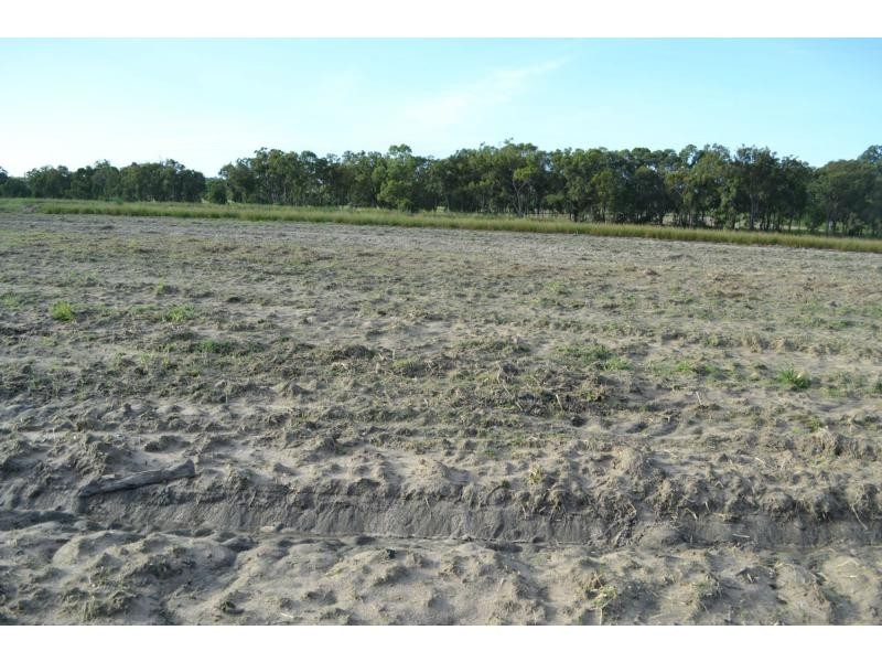 Elliott QLD 4670