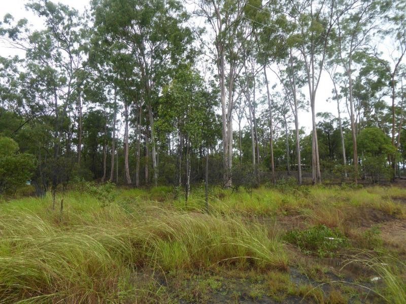 64 Commodore, South Bingera QLD 4670