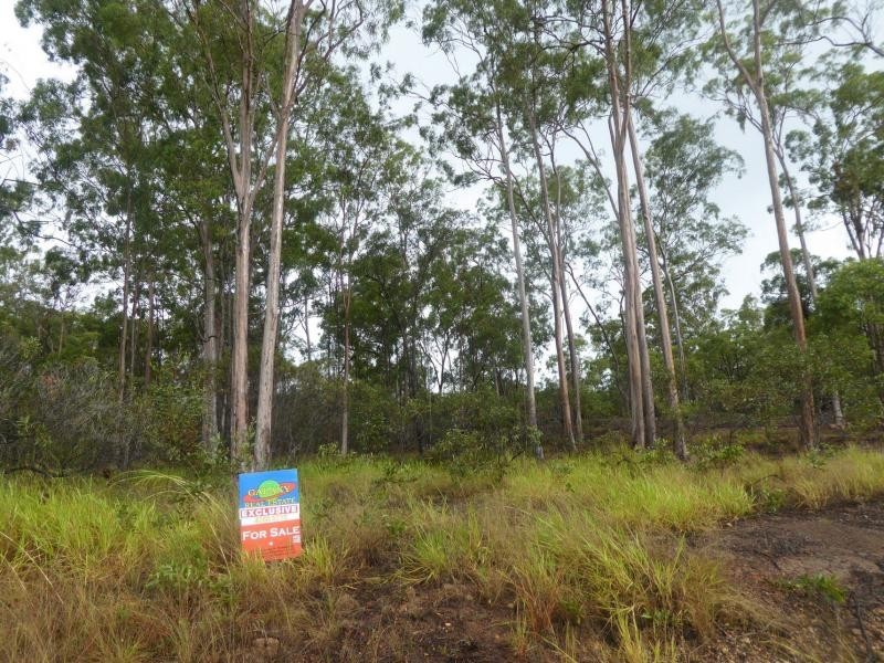 64 Commodore, South Bingera QLD 4670