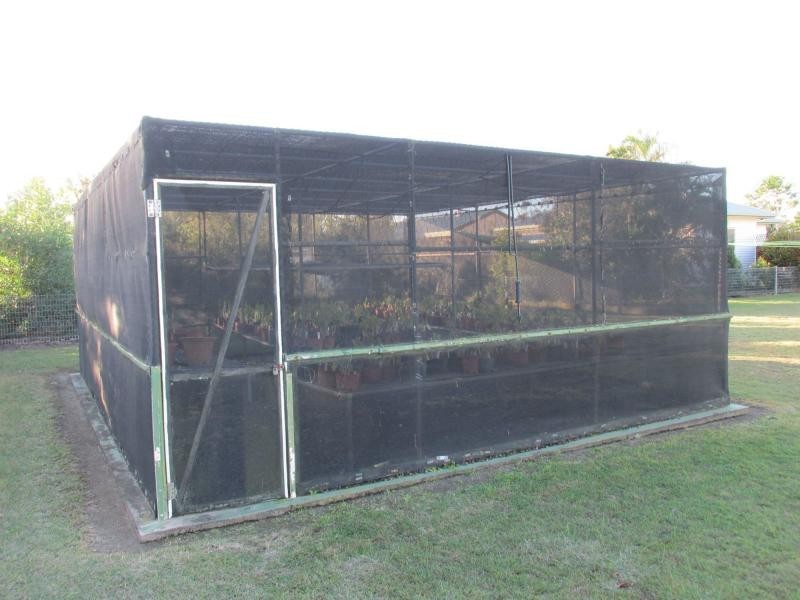 Avenell Heights QLD 4670