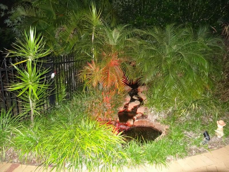 Moore Park Beach QLD 4670