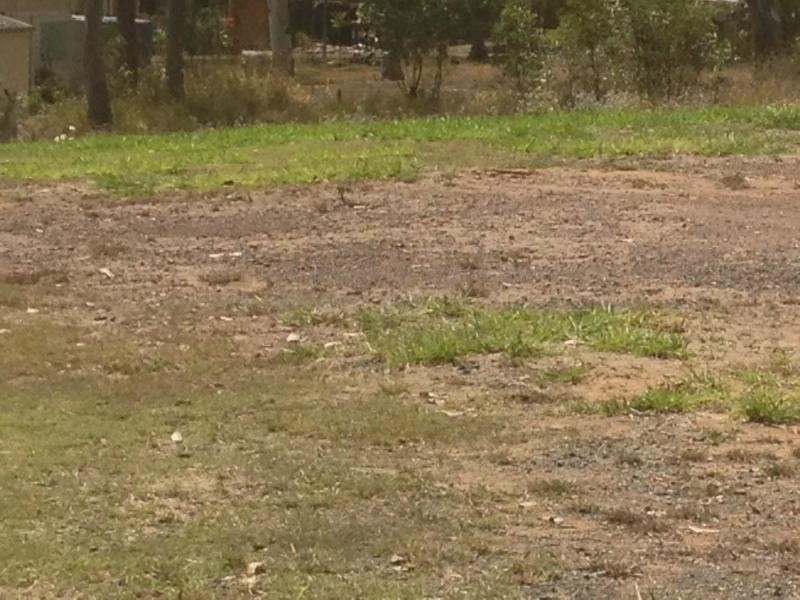 South Bingera QLD 4670