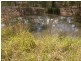 South Bingera QLD 4670