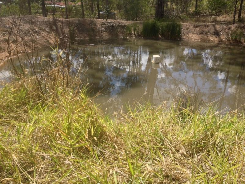 South Bingera QLD 4670