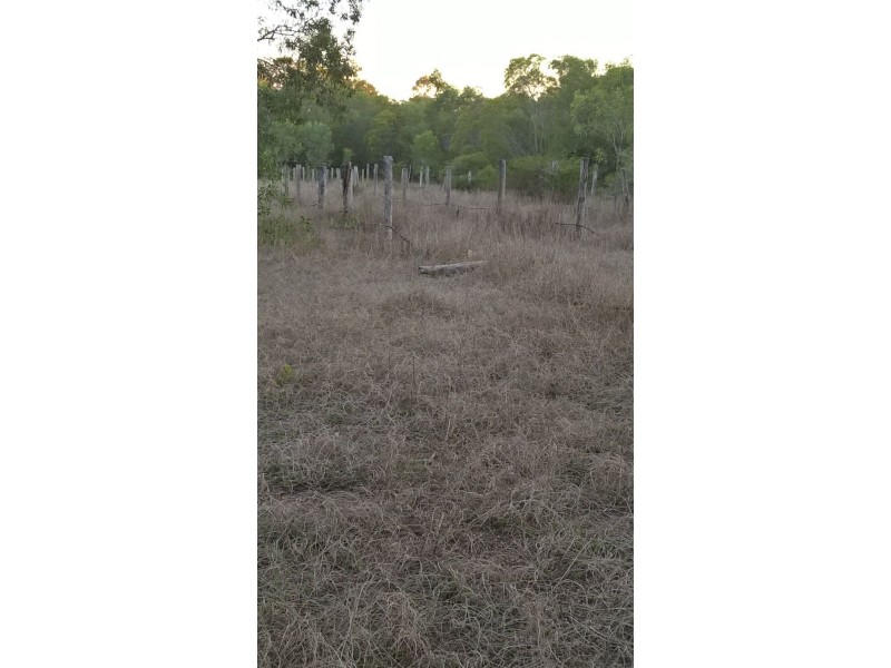 Colosseum QLD 4677