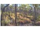 Colosseum QLD 4677
