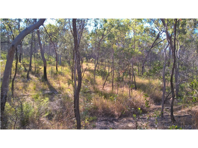 Colosseum QLD 4677