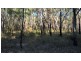 Colosseum QLD 4677