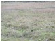 Moolboolaman QLD 4671